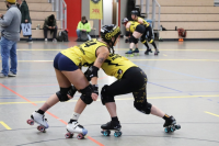 (Anklicken für vergrösserte Ansicht)