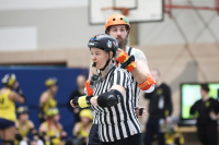 (Anklicken für vergrösserte Ansicht)