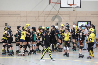 (Anklicken für vergrösserte Ansicht)