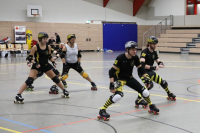 (Anklicken für vergrösserte Ansicht)