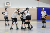 (Anklicken für vergrösserte Ansicht)