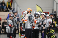 (Anklicken für vergrösserte Ansicht)