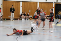 (Anklicken für vergrösserte Ansicht)