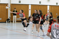 (Anklicken für vergrösserte Ansicht)