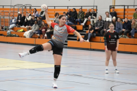 (Anklicken für vergrösserte Ansicht)