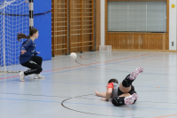 (Anklicken für vergrösserte Ansicht)