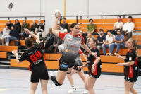 (Anklicken für vergrösserte Ansicht)