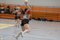 (Anklicken für vergrösserte Ansicht)