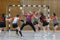 (Anklicken für vergrösserte Ansicht)