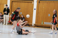 (Anklicken für vergrösserte Ansicht)