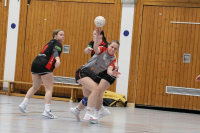 (Anklicken für vergrösserte Ansicht)