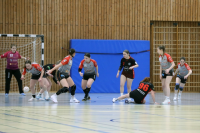 (Anklicken für vergrösserte Ansicht)