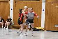 (Anklicken für vergrösserte Ansicht)