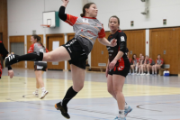 (Anklicken für vergrösserte Ansicht)