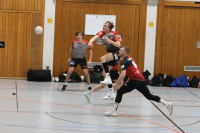 (Anklicken für vergrösserte Ansicht)