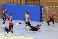 (Anklicken für vergrösserte Ansicht)