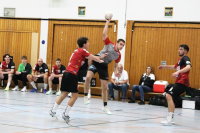 (Anklicken für vergrösserte Ansicht)