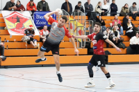 (Anklicken für vergrösserte Ansicht)