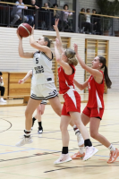 (Anklicken für vergrösserte Ansicht)