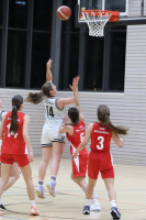 (Anklicken für vergrösserte Ansicht)