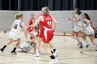 (Anklicken für vergrösserte Ansicht)