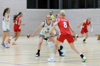 (Anklicken für vergrösserte Ansicht)