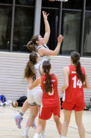 (Anklicken für vergrösserte Ansicht)