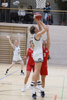 (Anklicken für vergrösserte Ansicht)