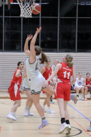 (Anklicken für vergrösserte Ansicht)