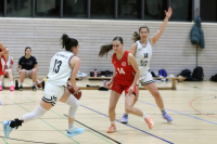 (Anklicken für vergrösserte Ansicht)