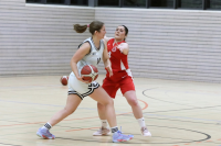 (Anklicken für vergrösserte Ansicht)