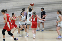 (Anklicken für vergrösserte Ansicht)