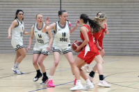 (Anklicken für vergrösserte Ansicht)