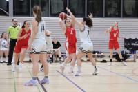 (Anklicken für vergrösserte Ansicht)