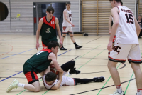 (Anklicken für vergrösserte Ansicht)