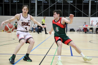 (Anklicken für vergrösserte Ansicht)