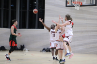 (Anklicken für vergrösserte Ansicht)