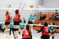 (Anklicken für vergrösserte Ansicht)