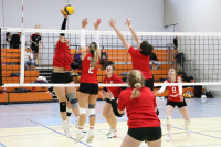 (Anklicken für vergrösserte Ansicht)