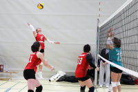 (Anklicken für vergrösserte Ansicht)