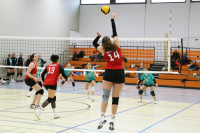 (Anklicken für vergrösserte Ansicht)