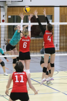 (Anklicken für vergrösserte Ansicht)