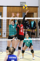 (Anklicken für vergrösserte Ansicht)