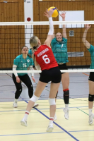 (Anklicken für vergrösserte Ansicht)