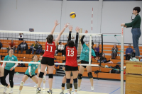 (Anklicken für vergrösserte Ansicht)