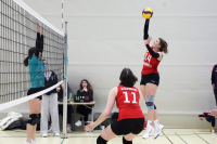 (Anklicken für vergrösserte Ansicht)