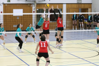 (Anklicken für vergrösserte Ansicht)