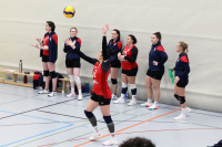 (Anklicken für vergrösserte Ansicht)