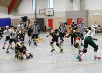 (Anklicken für vergrösserte Ansicht)