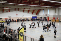 (Anklicken für vergrösserte Ansicht)